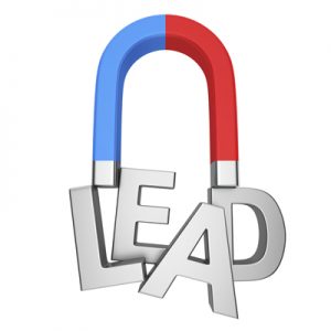 Higgins Marketing Group Convert Visitors into Leads - Lead Magnet